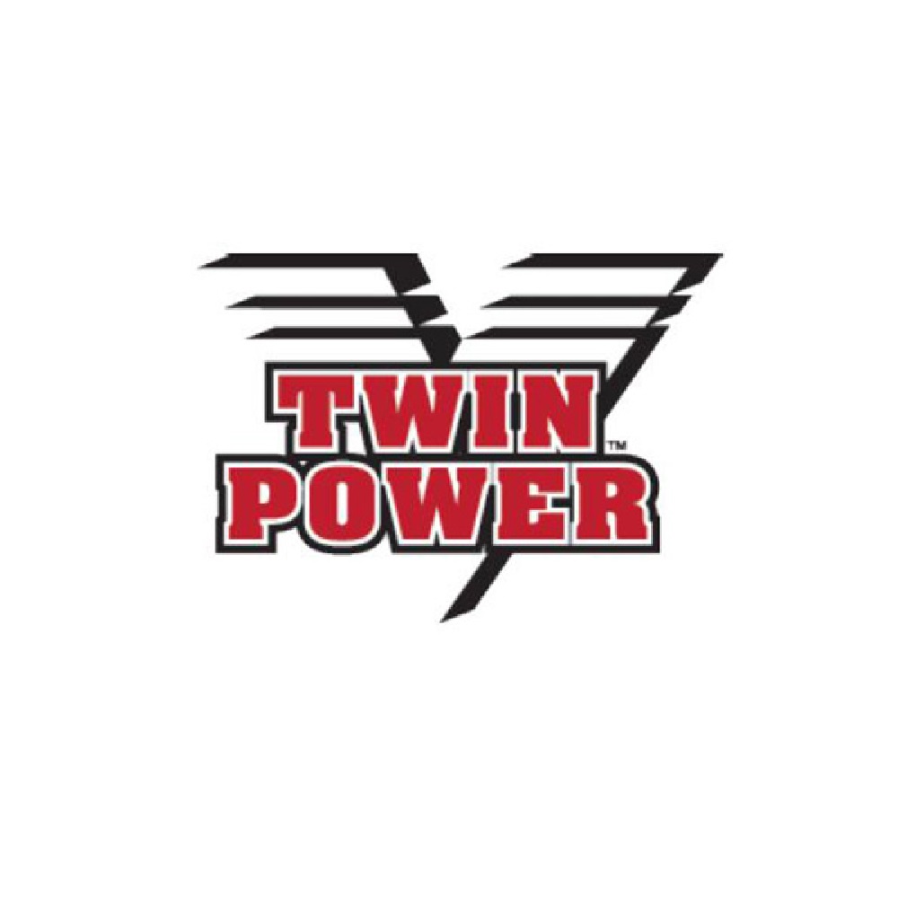TWIN POWERのブランドロゴ