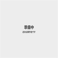 20S/20S EO/30K用ケーブルマイクキット R-30K-WMIC-B