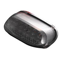 LEDテールランプユニットZZR1100(D)ZZR400(N)