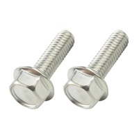 フランジ六角ボルト（ステンレス）（2本入）M6X20mm（P-1.0）