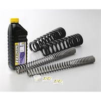 (受注発注品)コンビキット(フロント+リアスプリング) (ローダウン約15mm)[22094930+22094931] BMW C400GT/X (ABS) 19-25