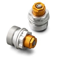 フロントフォークトップキャップ イニシャルアジャスター ゴールド SEROW250 05-20