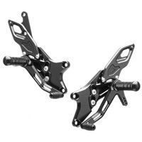 STRIKER YZF-R25 スペシャルステップキット TypeS&R