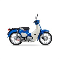フルエキゾーストマフラー MEGAPHONE SUS 22- SUPER CUB 110/CROSS CUB C110