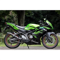 ジャッカルチャンバー　Ninja150RR